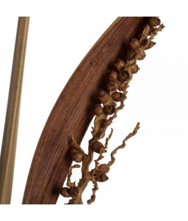 36 inch Bahia State Spear