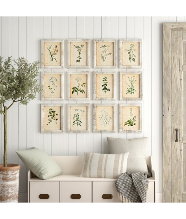 12 watercolor paintings of &am...