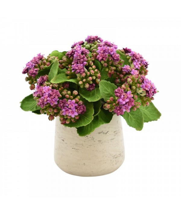 Artificial kalanchoe flower arrangement in the pot