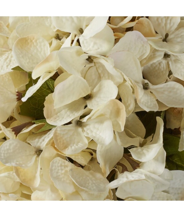 Hydrangea flower arrangement in classic round vase