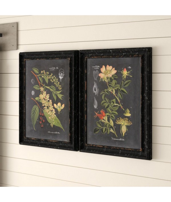 "Midnight Botanicals" 2 Piece Picture Frame Print Set on Wood