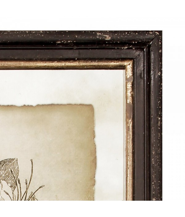 Monochrome floral illustrations 6-piece photo frame print